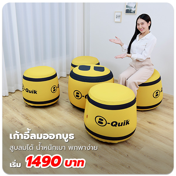 เก้าอี้ลมพิมพ์ลาย ราคา